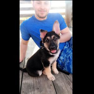 Meet your Posher, Jacob